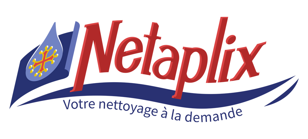 Logo de l'entreprise Netaplix